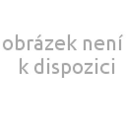 Obrázek pro produkt Zateplená kombinovaná deka dětská 70X100