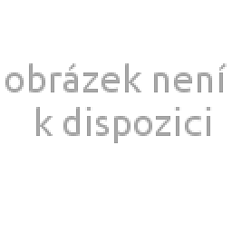 Obrázek pro produkt Rohlík velký paměťová pěna